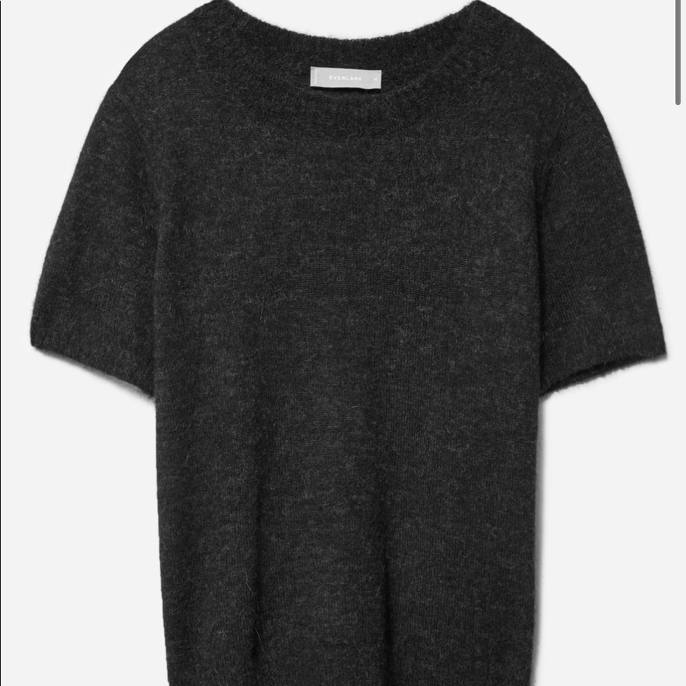 Everlane Alpaca Sweater Tee (NWT)